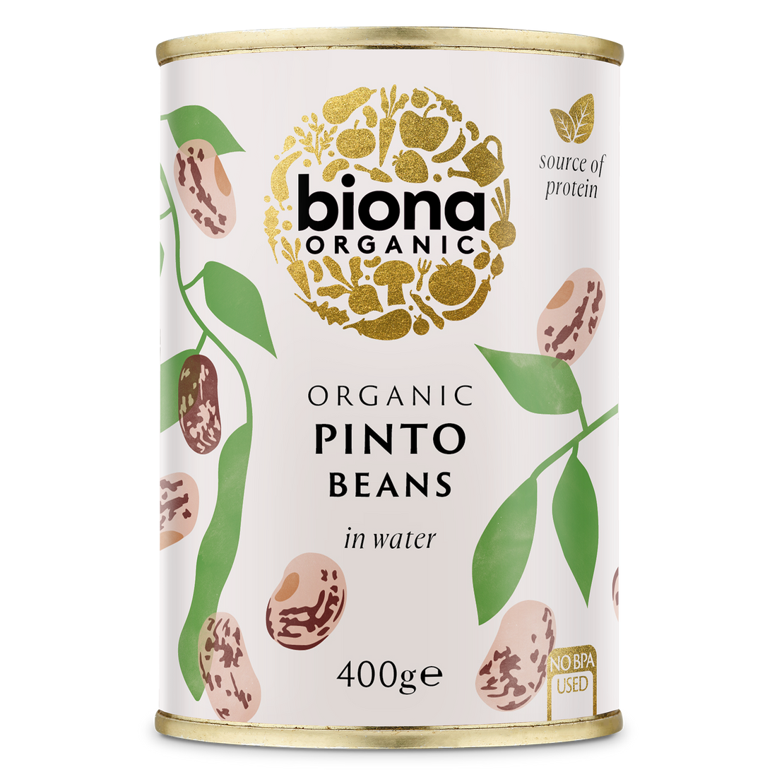 Pinto Beans
