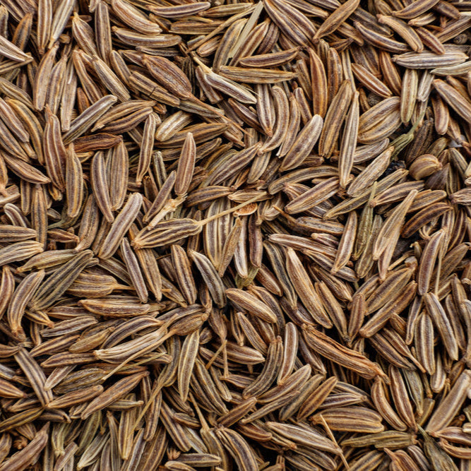 Cumin Seed