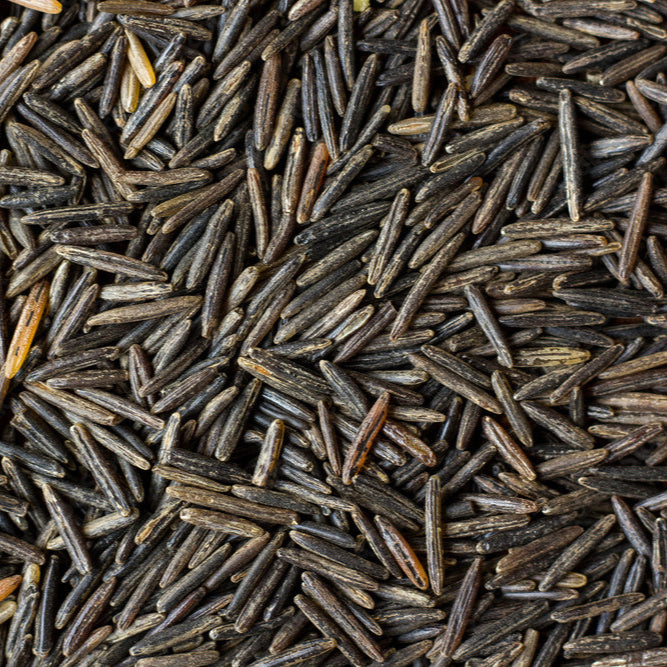 Organic Wild Rice