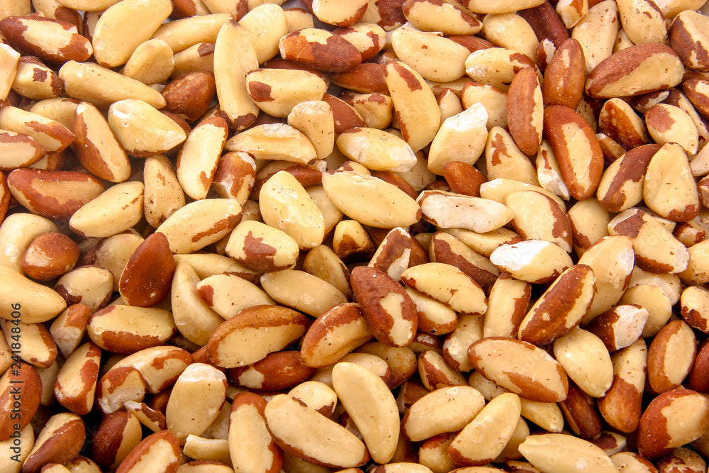 Brazil Nuts