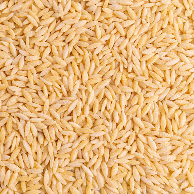 Orzo Pasta - white