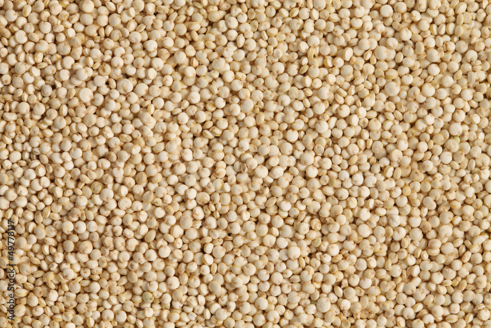 Quinoa Grain