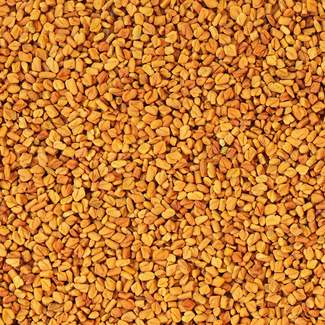 Fenugreek Seed