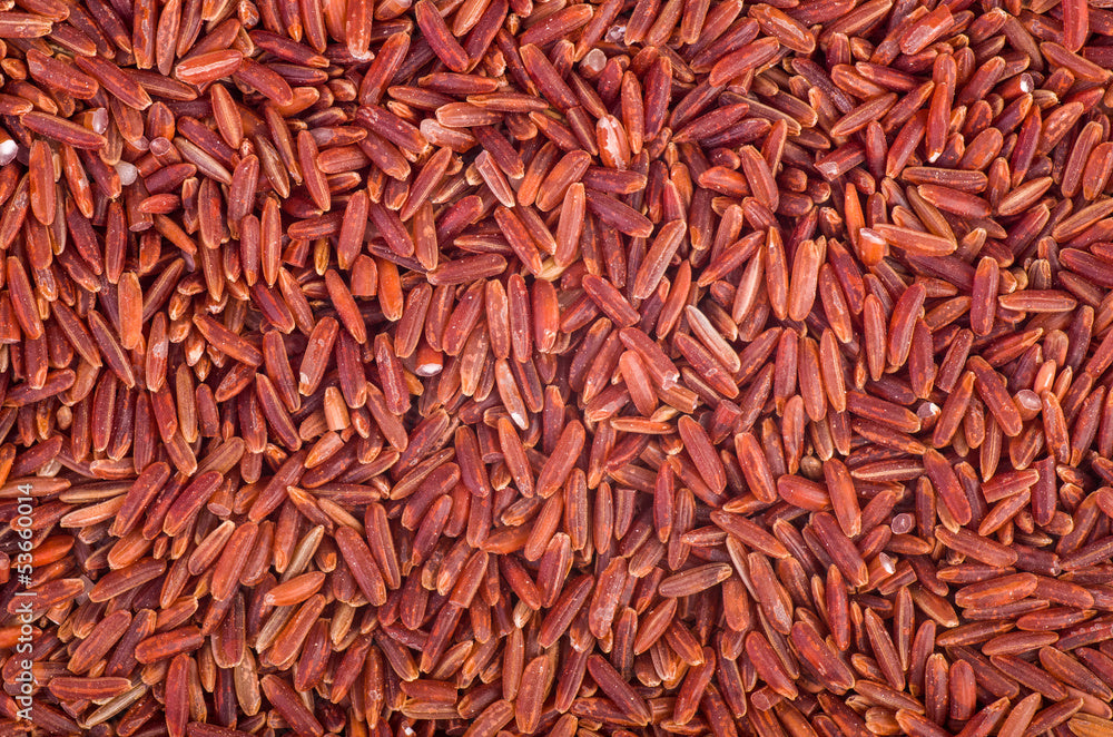Red Rice - Camargue