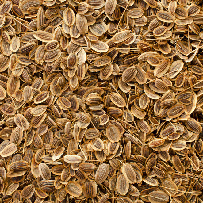 Dill Seed