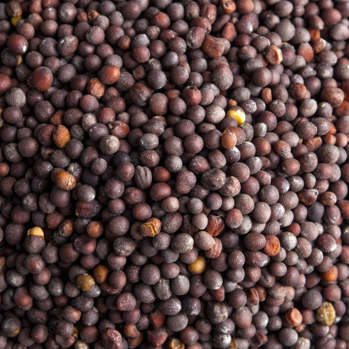 Mustard Seed Black