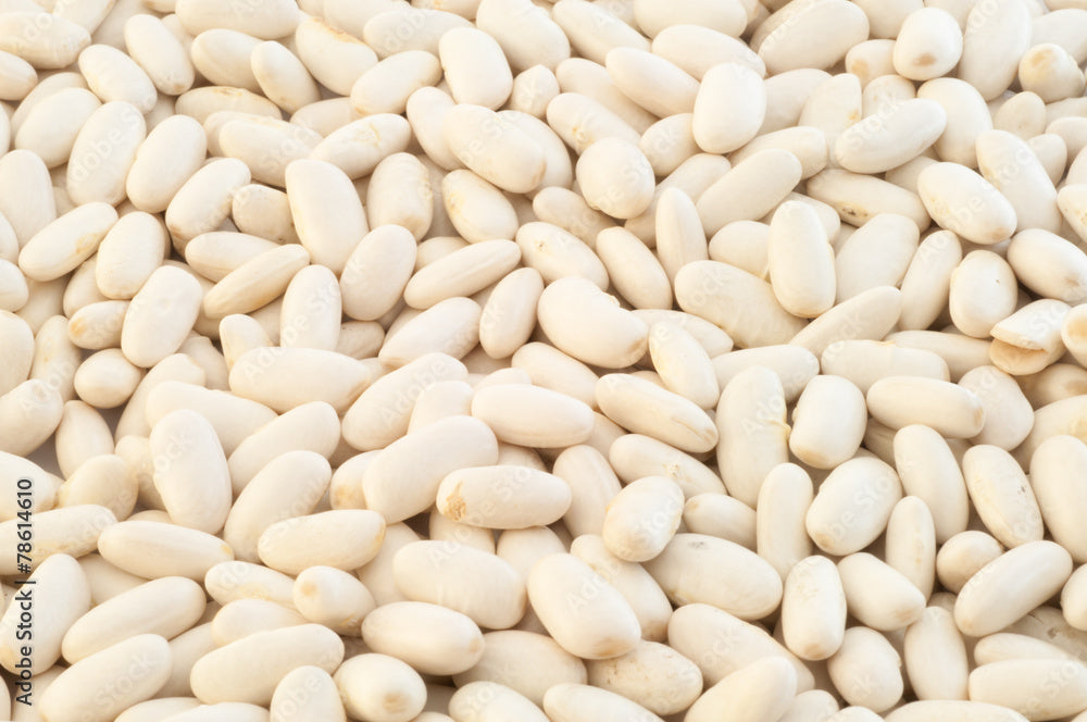 Cannellini Beans - loose, dried