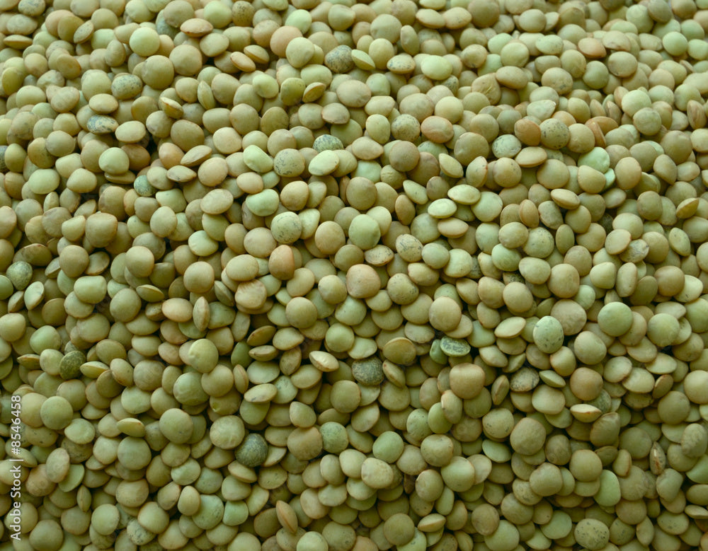 Green Lentils