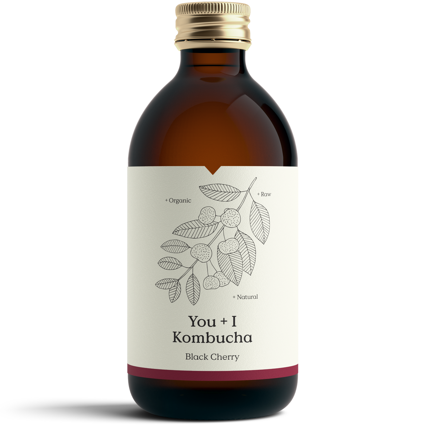 Black Cherry Kombucha