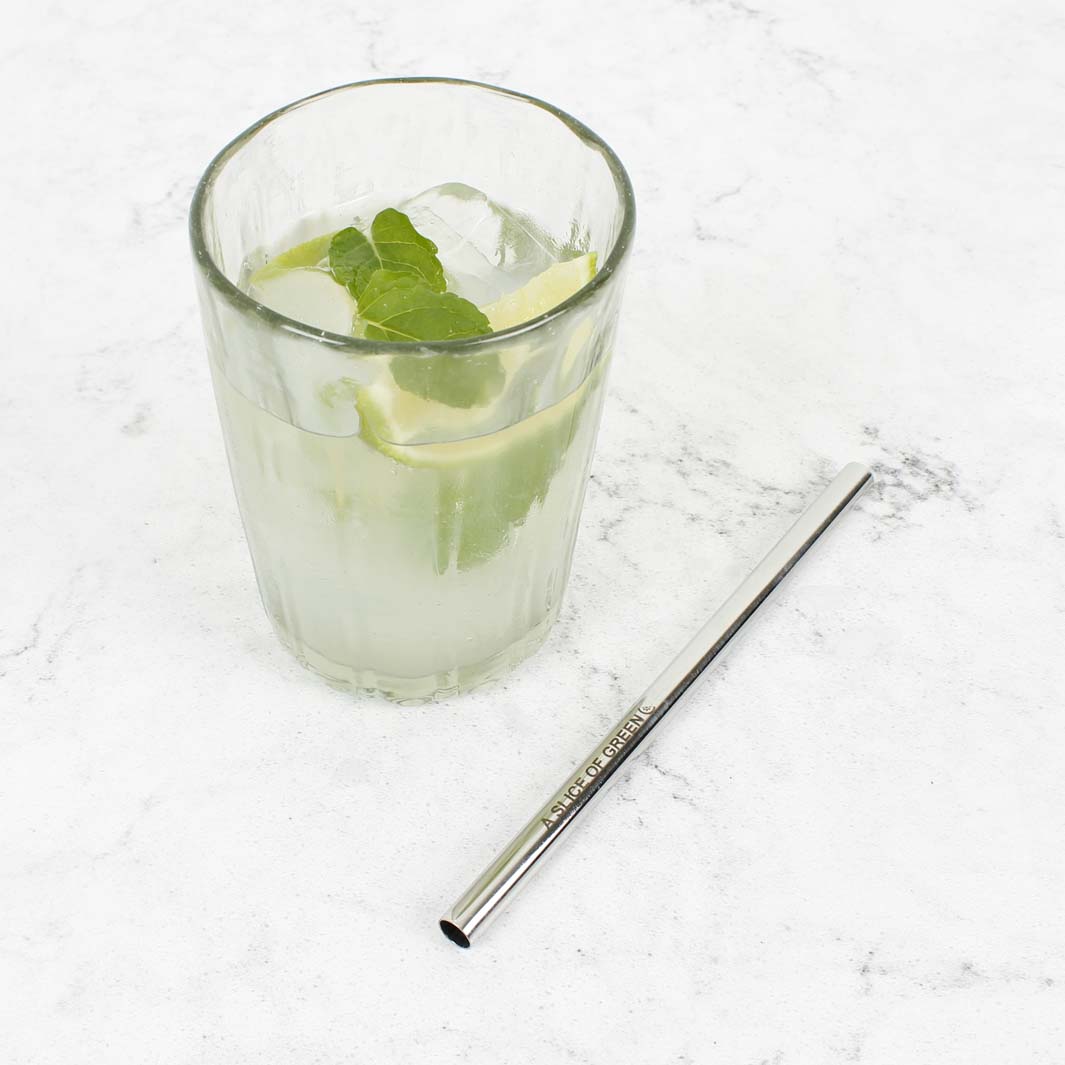 Stainless Steel Smoothie Straw