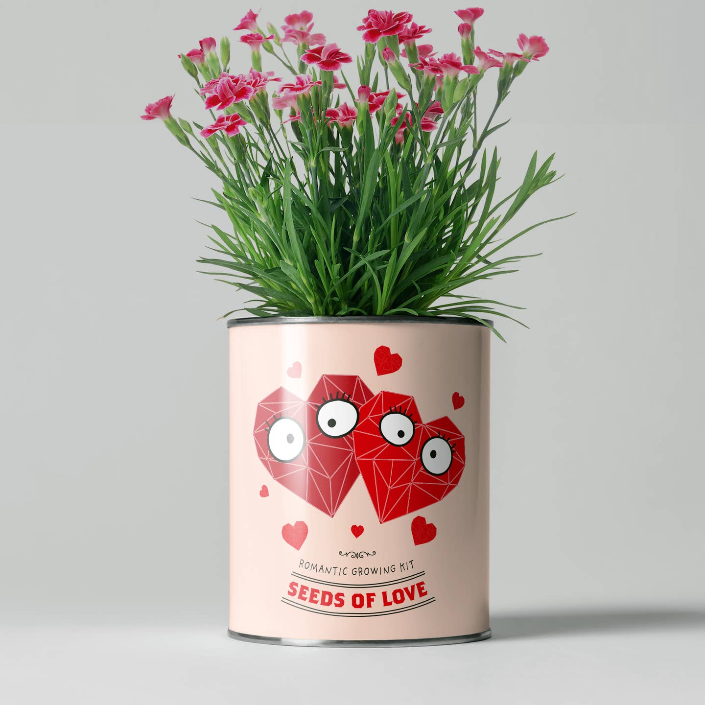 Seeds of Love. Eco Grow Your Own Plant Kit