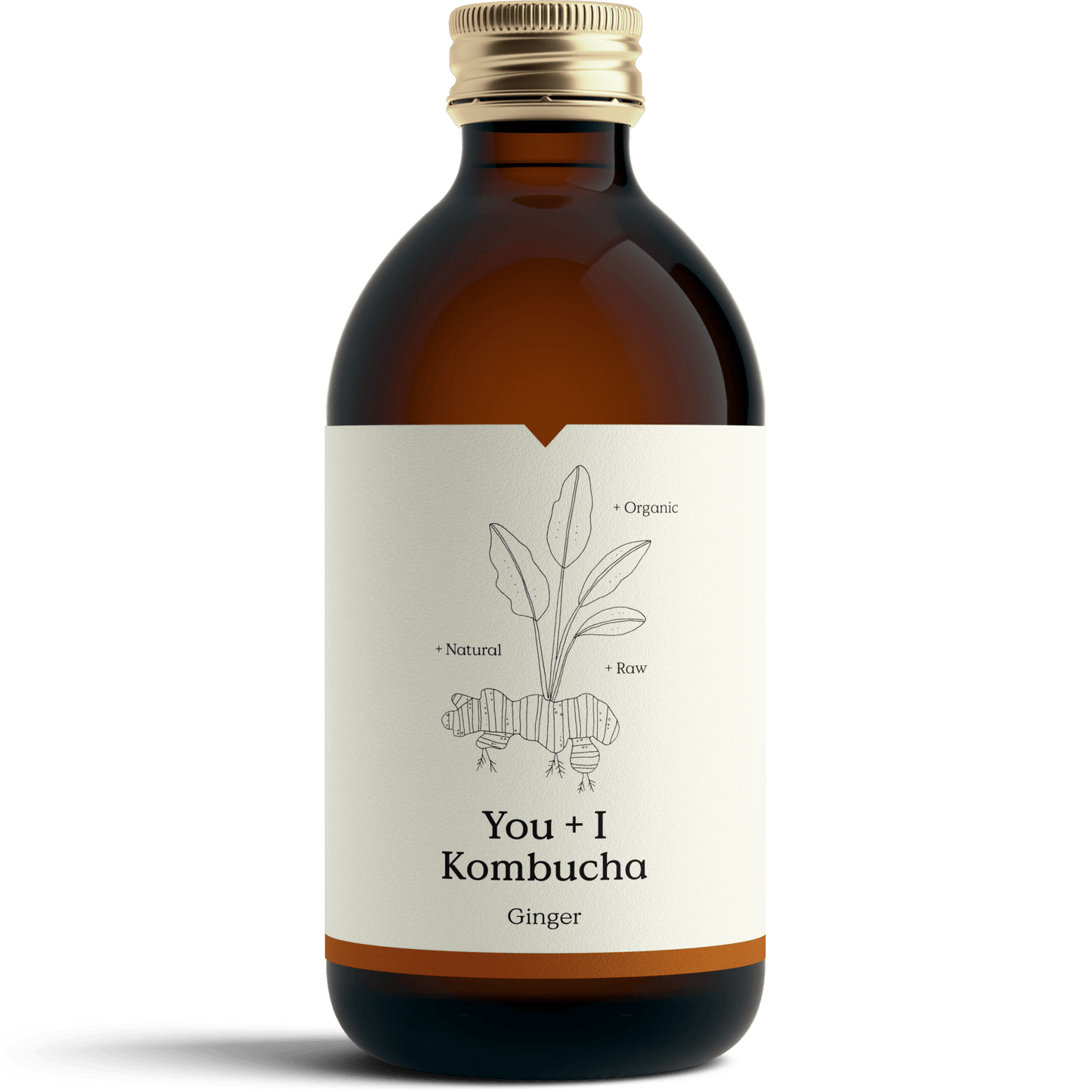 Ginger Kombucha