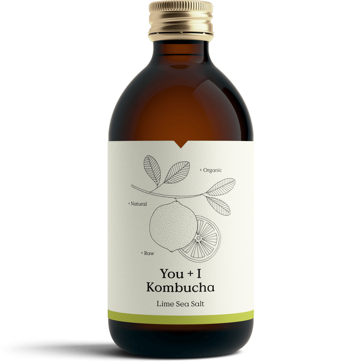 Lime & Sea Salt Kombucha