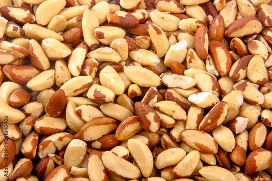 Brazil Nuts
