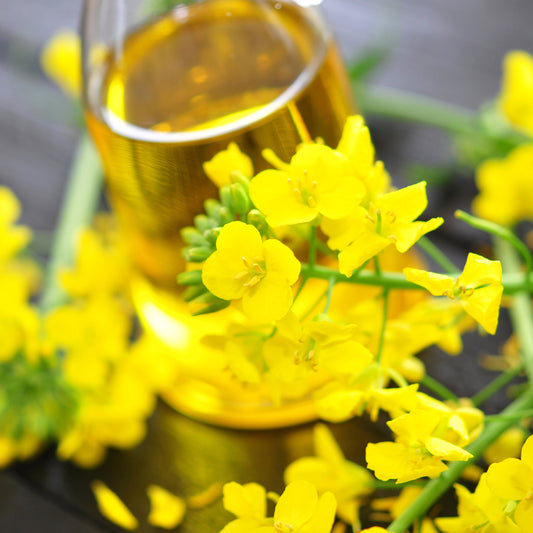 Rapeseed Oil