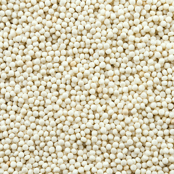 Giant couscous - white
