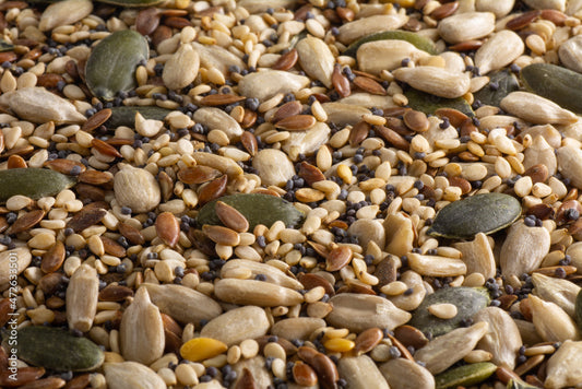Omega Four Seed Mix