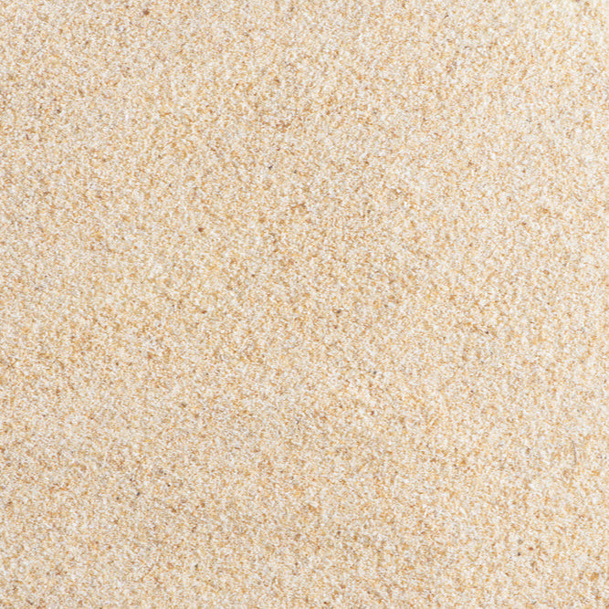 Garlic Powder