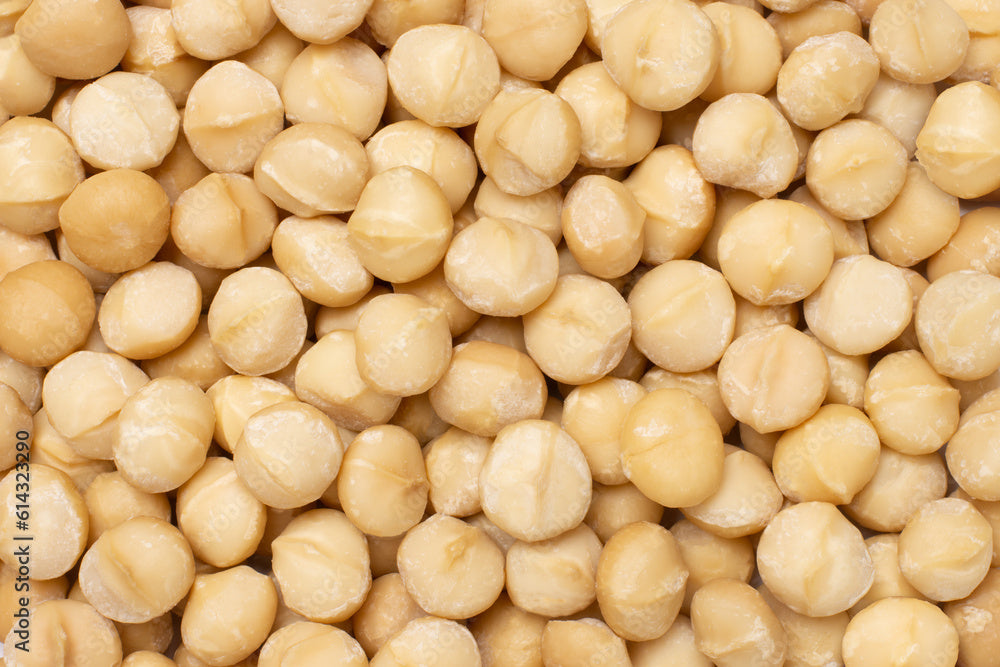 Macadamia Nuts - raw