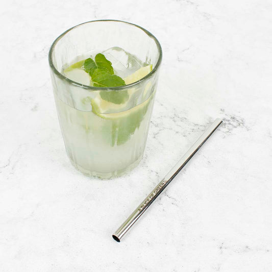 Stainless Steel Smoothie Straw