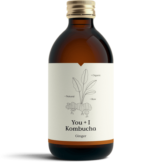 Ginger Kombucha